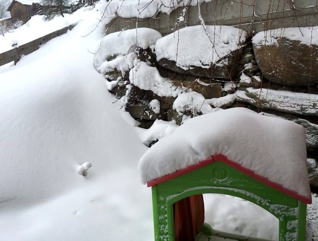 Winter garden at Chalet an der Piste